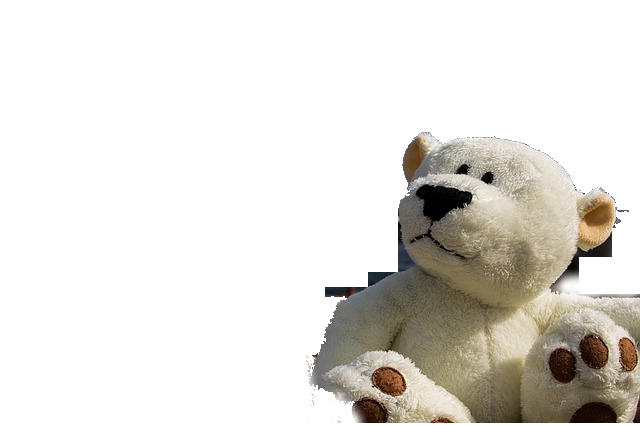 teddy bear plush
